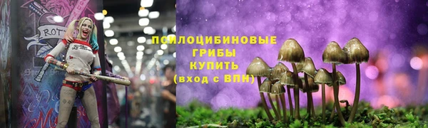 спайс Инта